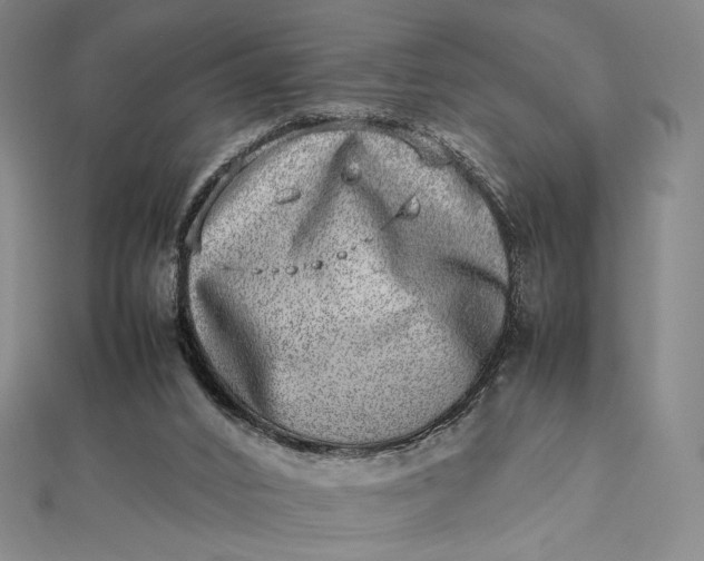 X0000112490016200908311441