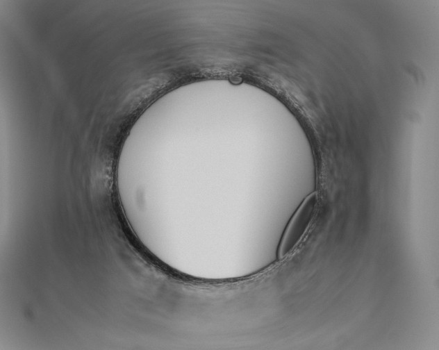 X0000112490017200908311441