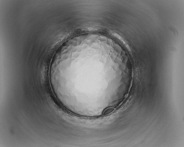 X0000112490018200908311441