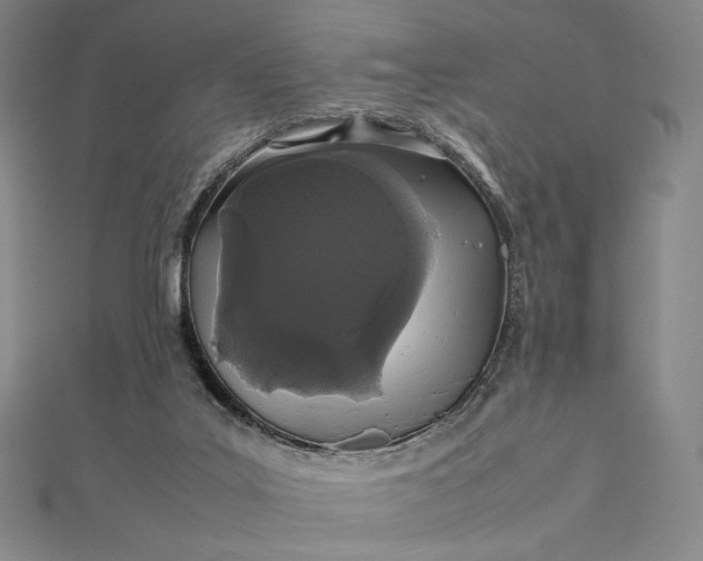 X0000112490019200908311441