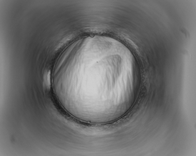 X0000112490020200908311441