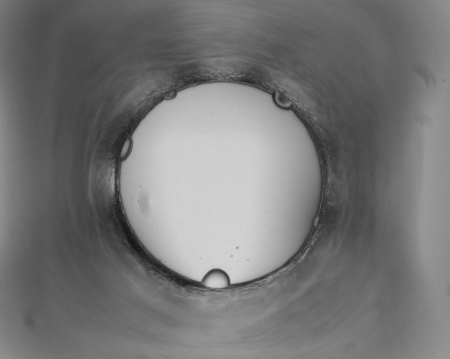 X0000112490021200908311441