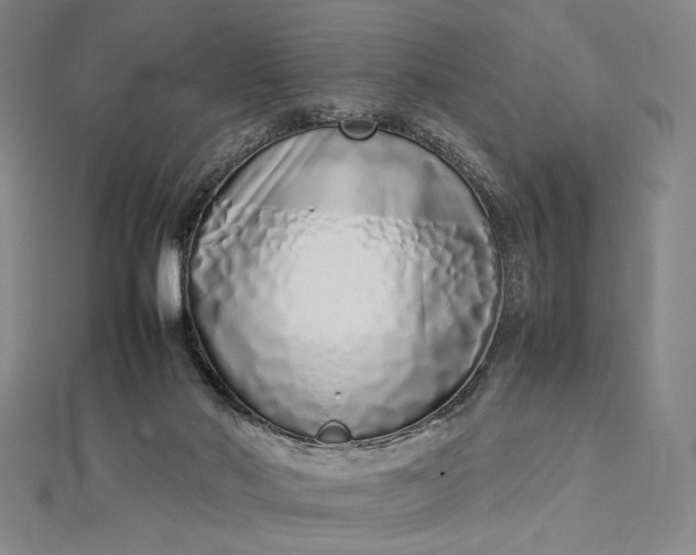 X0000112490022200908311441