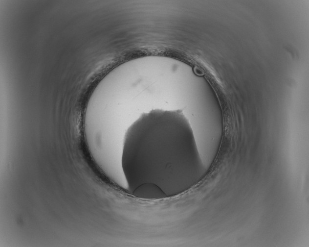 X0000112490023200908311441