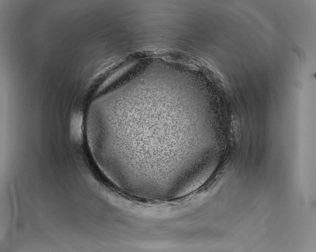 X0000112490024200908311441