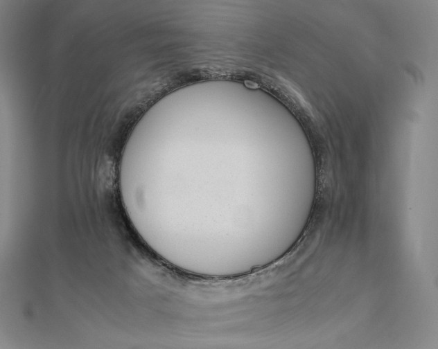 X0000112490025200908311441