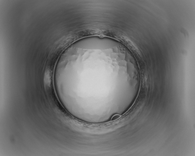 X0000112490026200908311441