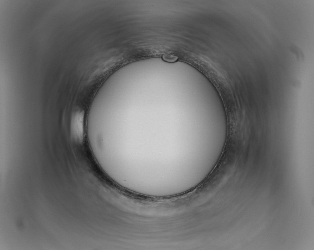 X0000112490028200908311441