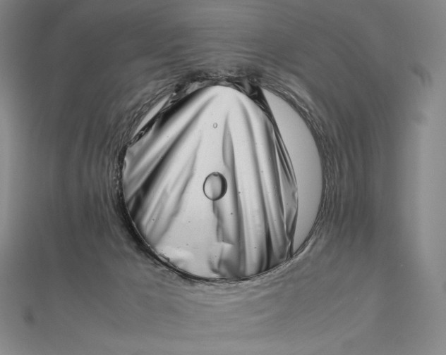 X0000112490029200908311441