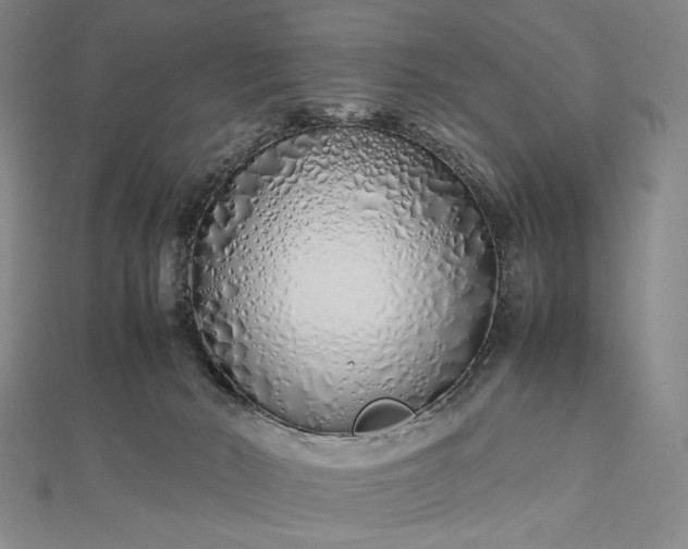 X0000112490030200908311441