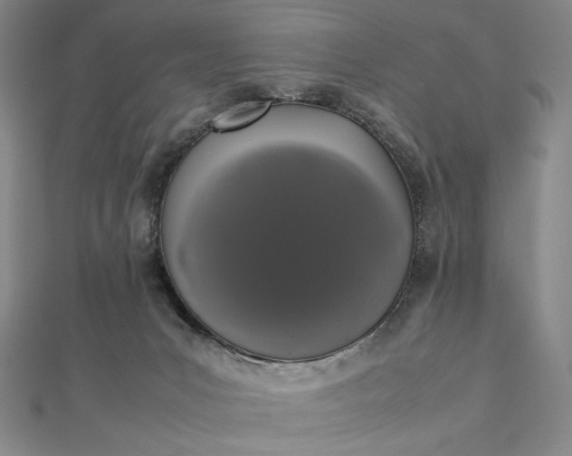 X0000112490031200908311441