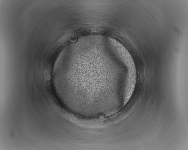 X0000112490032200908311441