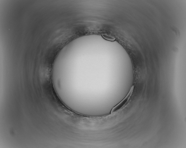 X0000112490033200908311441