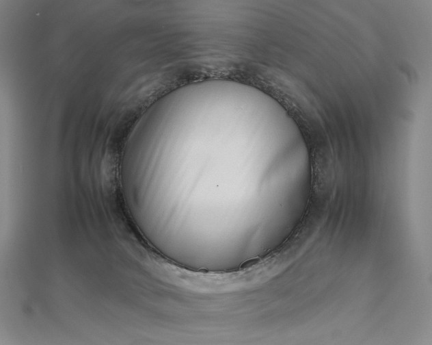 X0000112490034200908311441