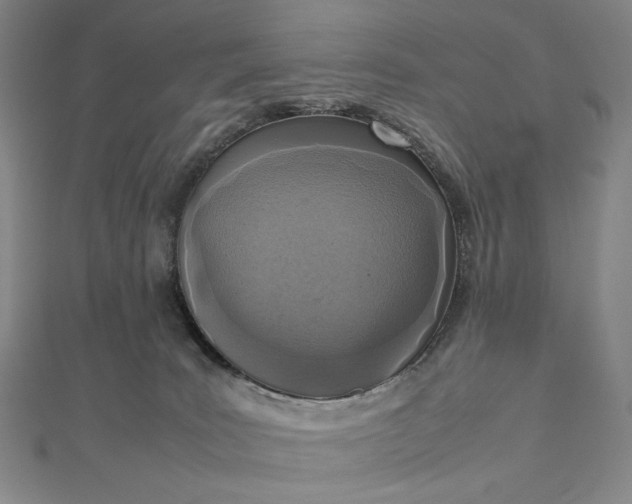 X0000112490035200908311441