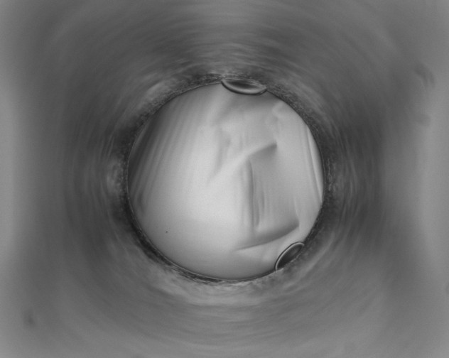 X0000112490036200908311441