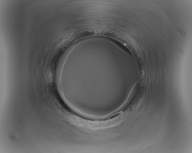 X0000112490039200908311441