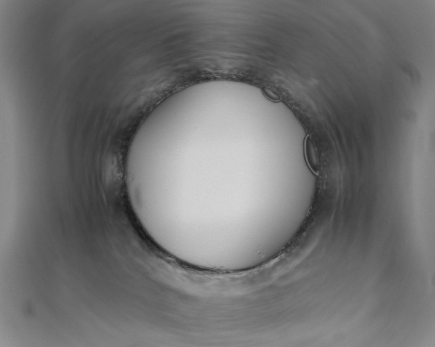 X0000112490040200908311441