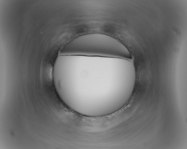 X0000112490041200908311441