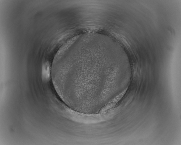 X0000112490042200908311441