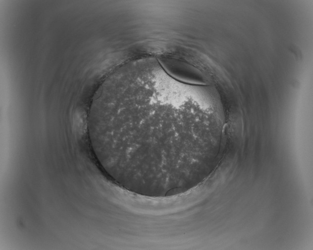 X0000112490043200908311441