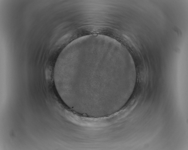 X0000112490044200908311441