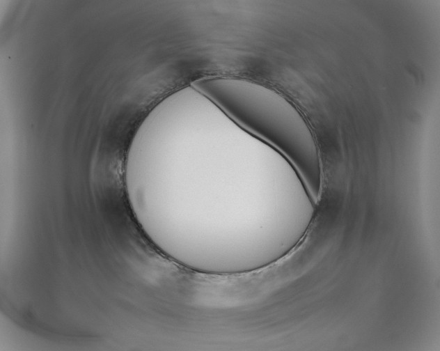 X0000112490045200908311441