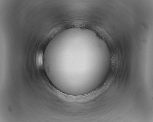 X0000112490046200908311441