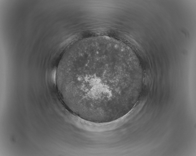 X0000112490047200908311441