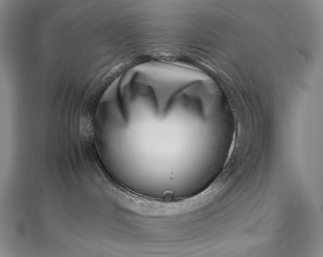 X0000112490048200908311441