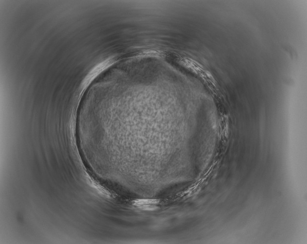 X0000112490051200908311440