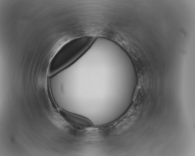 X0000112490052200908311440