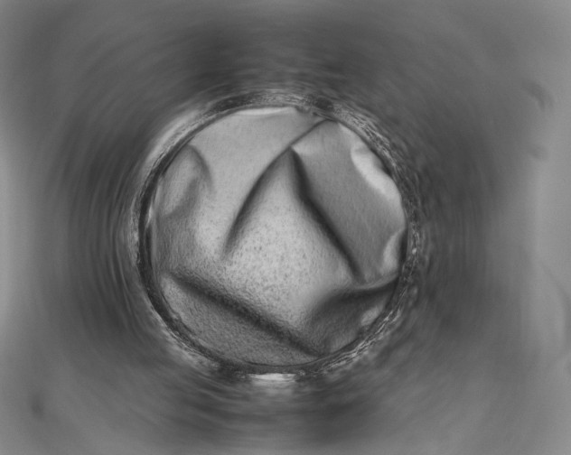 X0000112490053200908311440