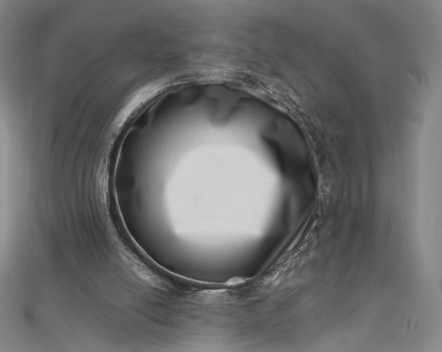 X0000112490054200908311440