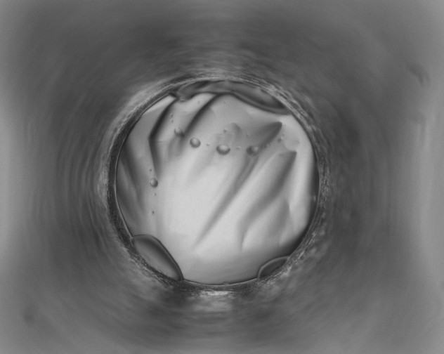 X0000112490055200908311440