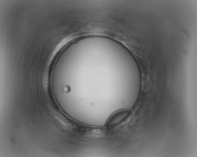 X0000112490056200908311440