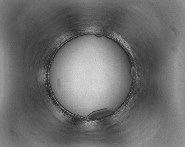 X0000112490057200908311440