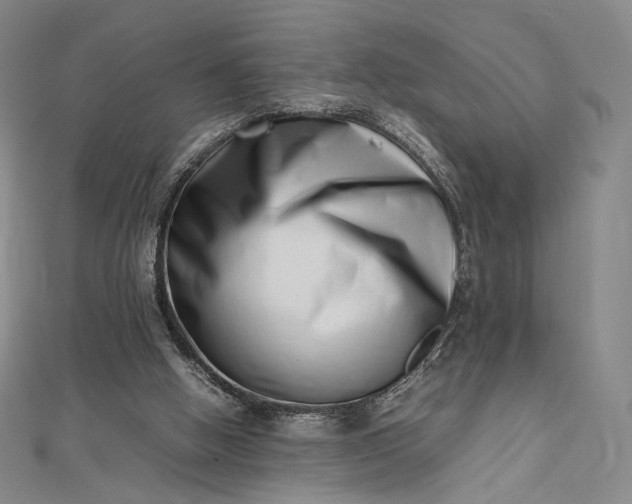 X0000112490058200908311440