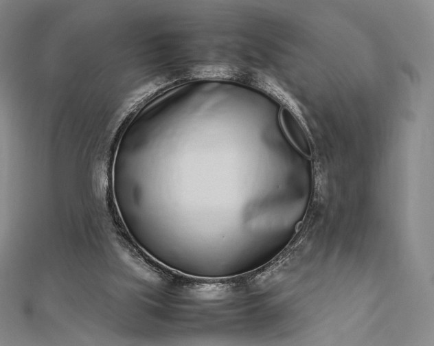 X0000112490059200908311440