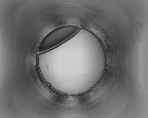 X0000112490060200908311440