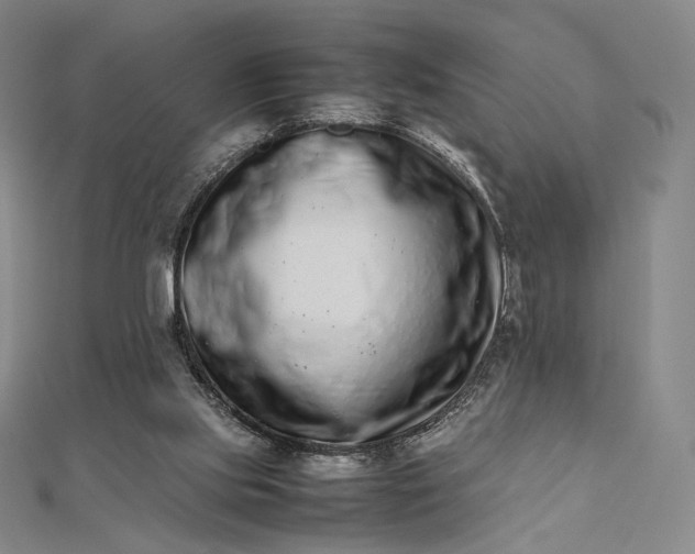 X0000112490061200908311440