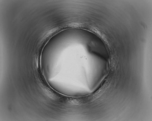 X0000112490062200908311440