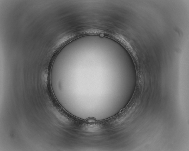 X0000112490063200908311440