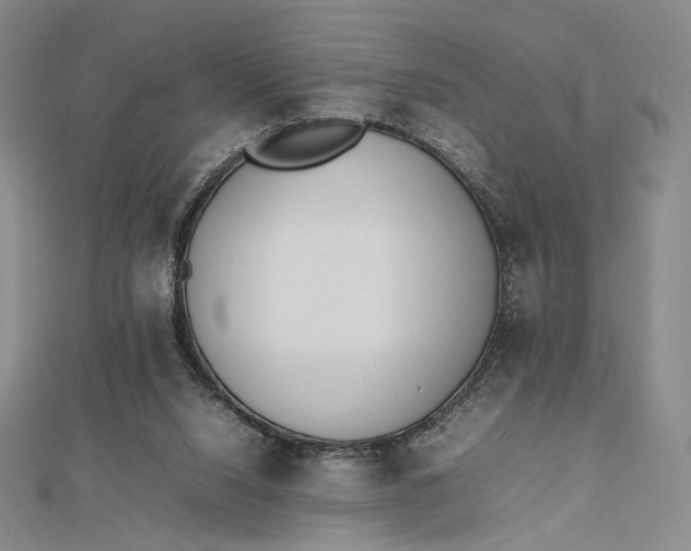 X0000112490064200908311440