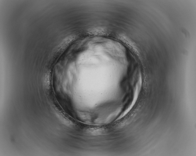 X0000112490065200908311440