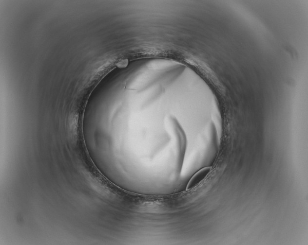 X0000112490066200908311440