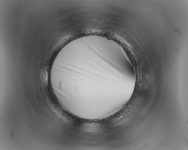 X0000112490067200908311440