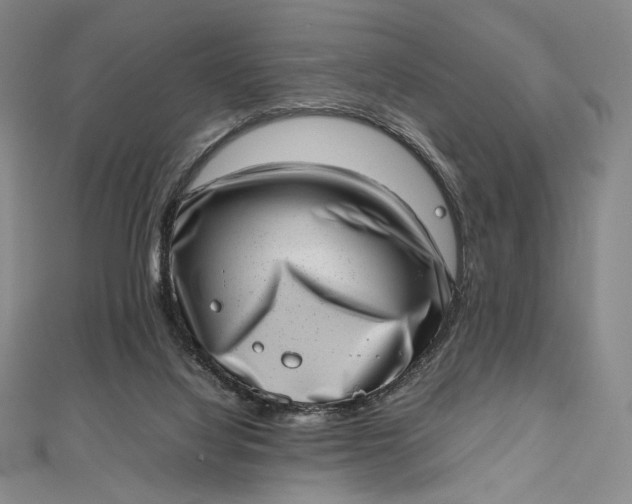 X0000112490068200908311440