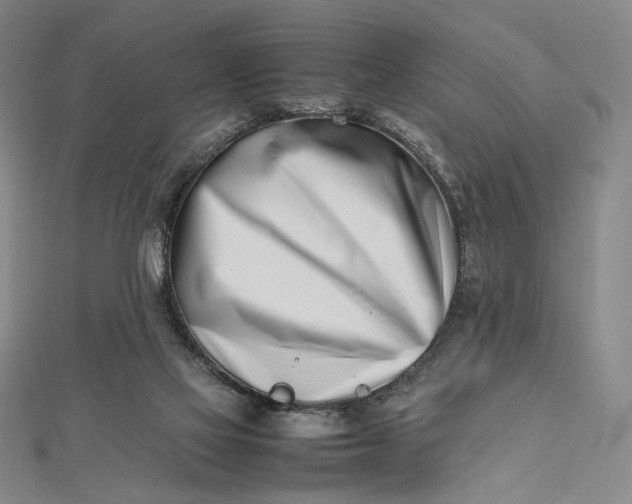 X0000112490069200908311440