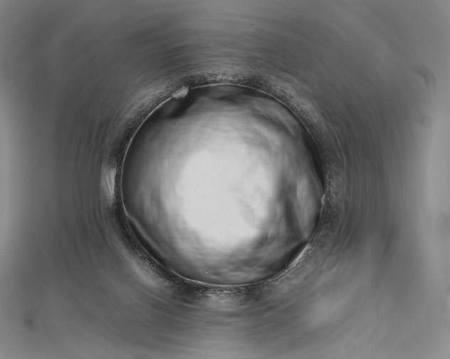 X0000112490070200908311440